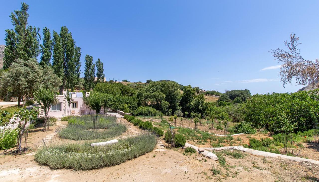 Serenity Village Απέραθος Εξωτερικό φωτογραφία