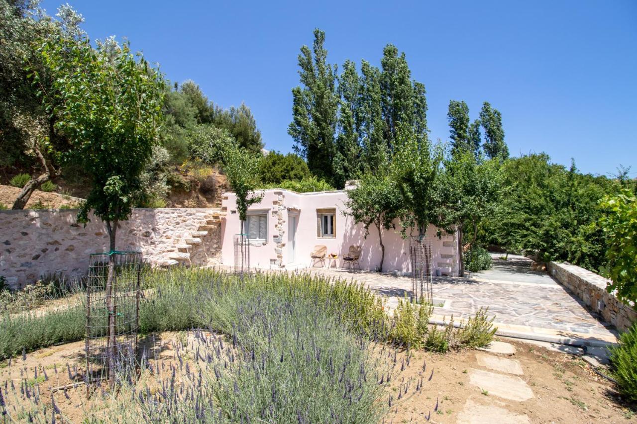 Serenity Village Απέραθος Εξωτερικό φωτογραφία