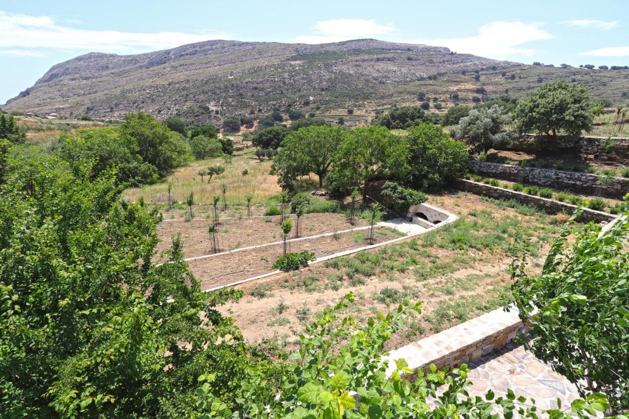 Serenity Village Απέραθος Εξωτερικό φωτογραφία