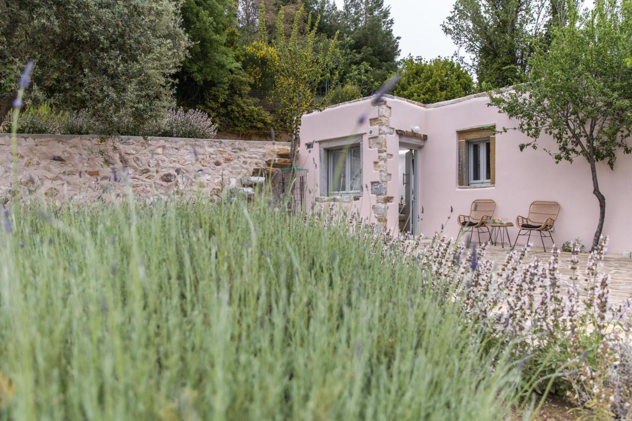 Serenity Village Απέραθος Εξωτερικό φωτογραφία
